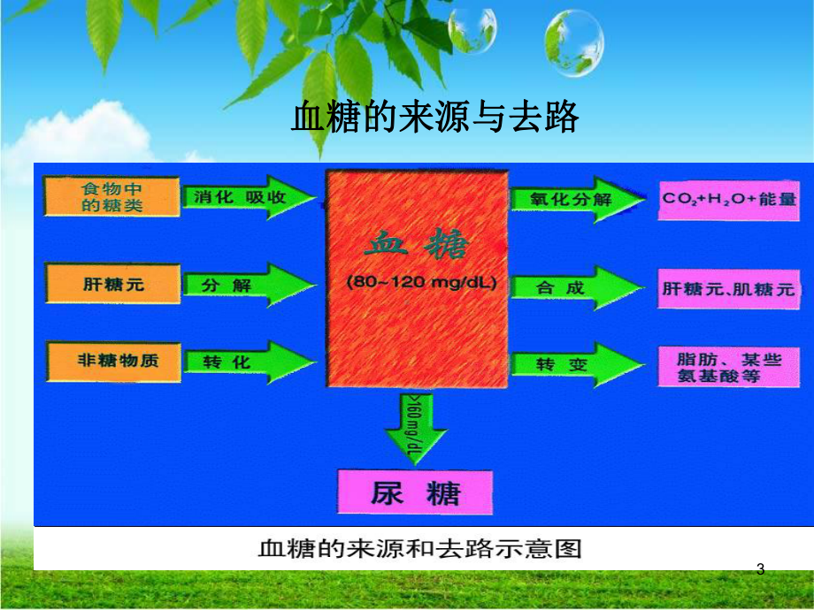 异常血糖处理及健康教育课件.ppt_第3页