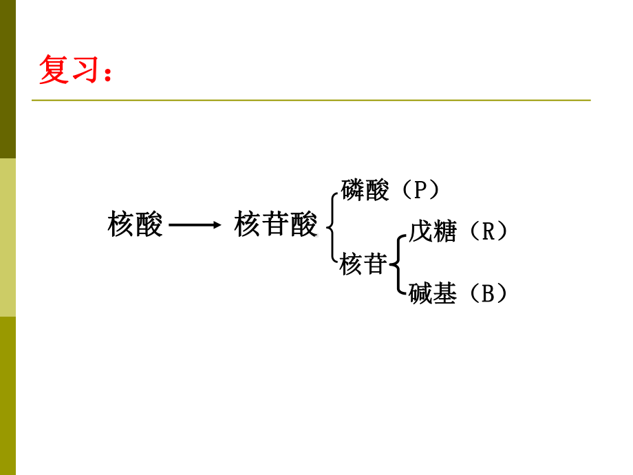 生物化学-核苷酸代谢课件.ppt_第3页