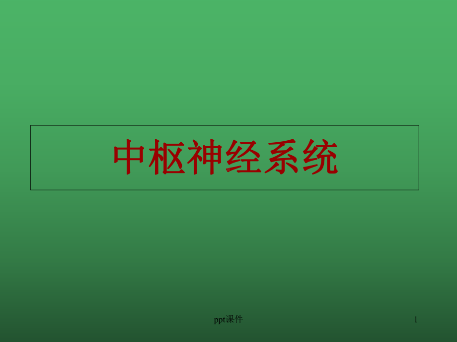 中枢神经系统-课件2.ppt_第1页