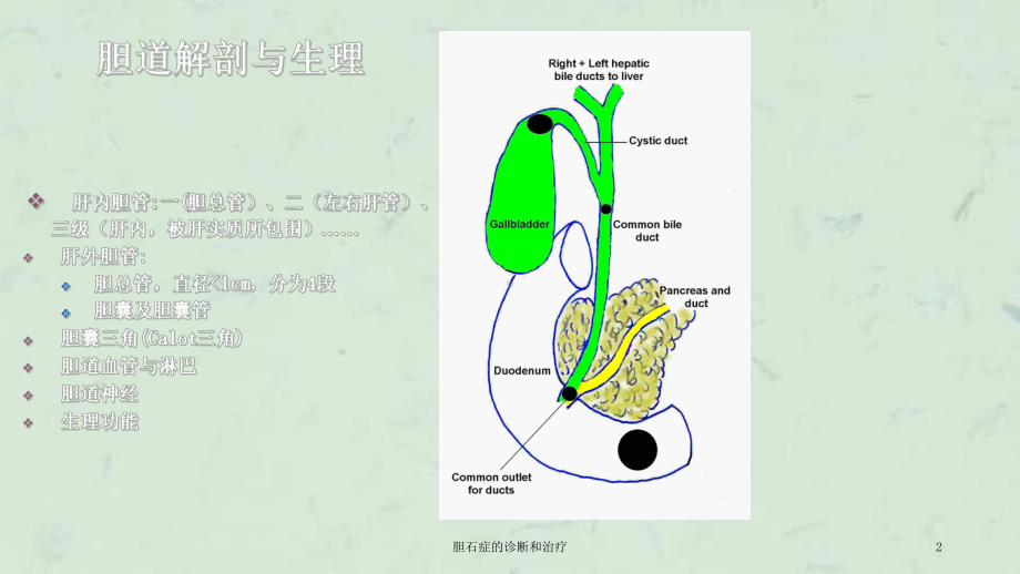 胆石症的诊断和治疗课件.ppt_第2页