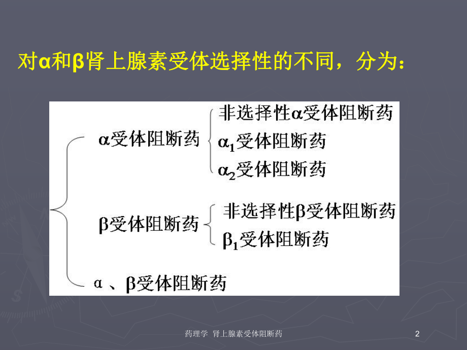 药理学-肾上腺素受体阻断药培训课件.ppt_第2页