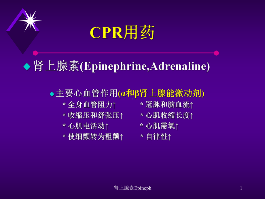 肾上腺素Epineph课件.ppt_第1页