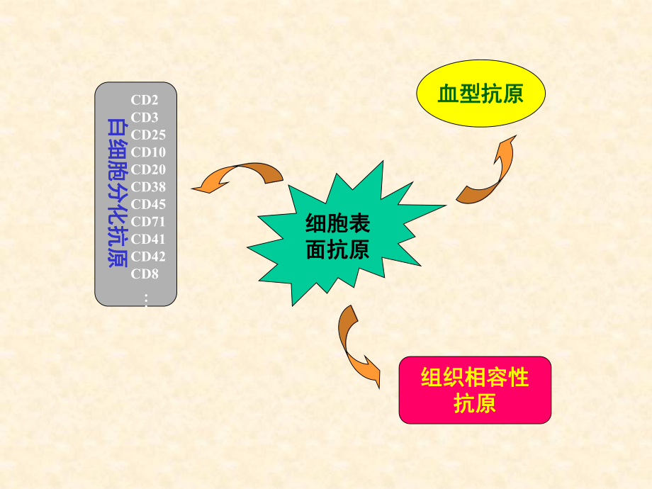 我国工程抗体研发概况课件.ppt_第3页