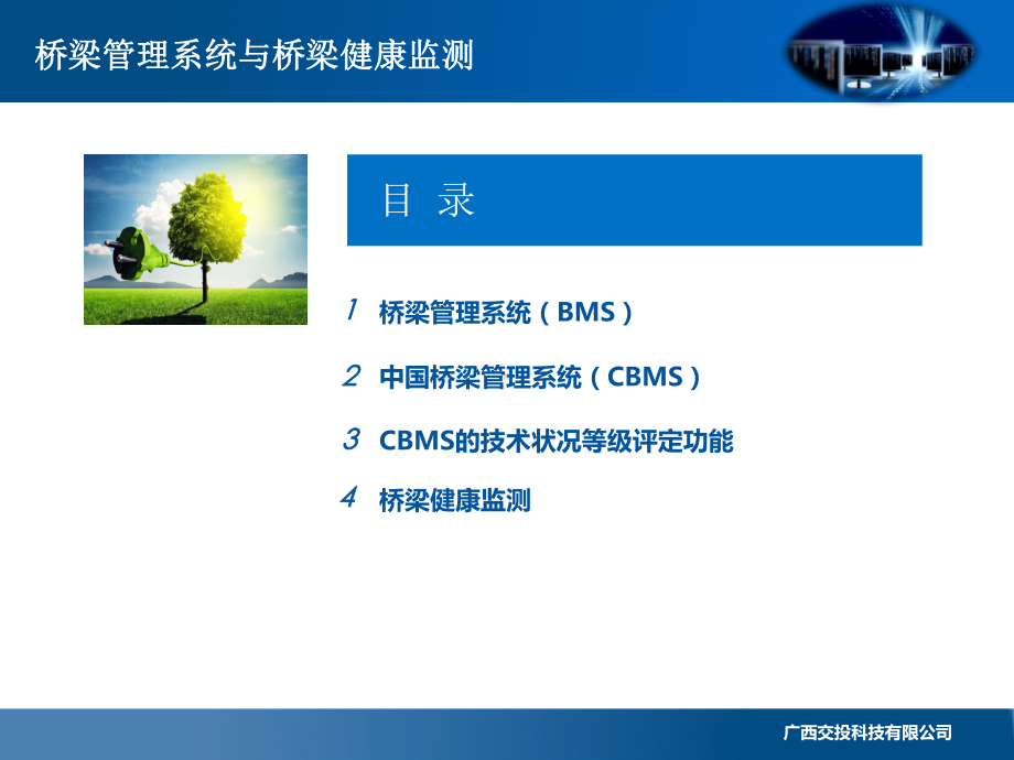 桥梁管理系统与桥梁安全监测课件.ppt_第2页