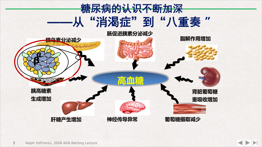 非内分泌患者的血糖管理完美课课件.pptx_第3页