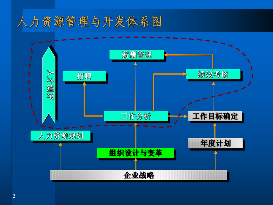 人力资源开发体系课件.ppt_第3页