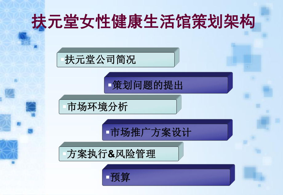 扶元堂女性健康生活馆市场推广方案设计(-44张)课件.ppt_第2页