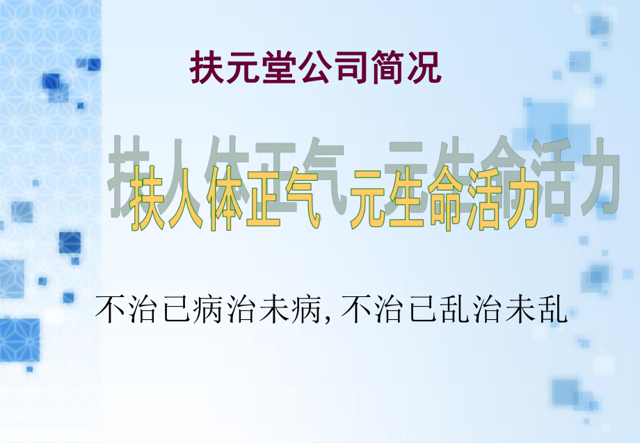 扶元堂女性健康生活馆市场推广方案设计(-44张)课件.ppt_第3页