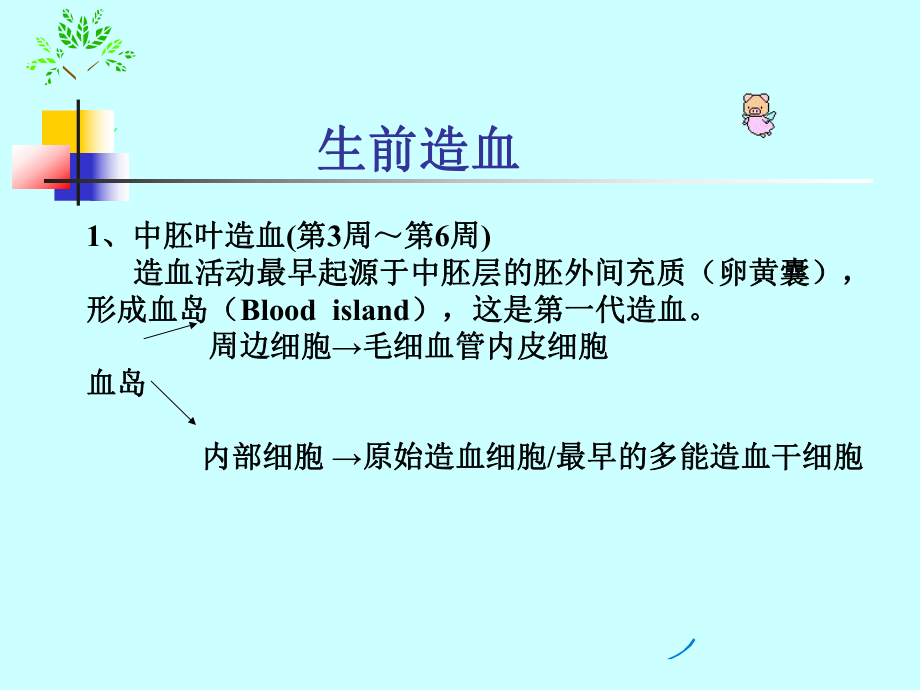 造血与血液特点-儿科学课件.ppt_第3页