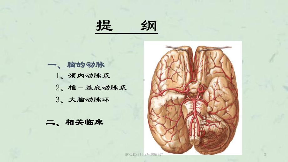 脑动脉willis环的解剖7课件.ppt_第2页