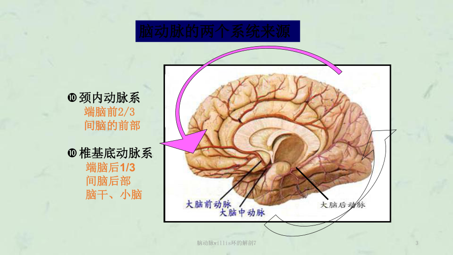 脑动脉willis环的解剖7课件.ppt_第3页