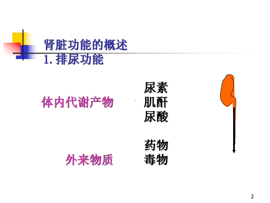 肾脏功能的实验室诊断课件.pptx_第2页