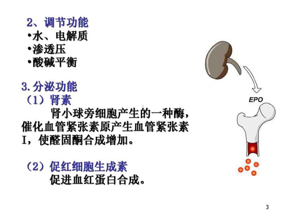 肾脏功能的实验室诊断课件.pptx_第3页