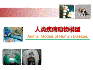 实验动物学：人类疾病动物模型课件.pptx