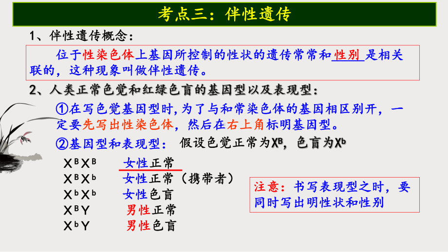 新教材生物《伴性遗传》课件1.pptx_第2页