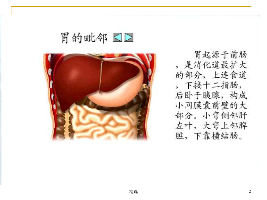 胃十二指肠疾病病人的护理课件-2.ppt_第2页