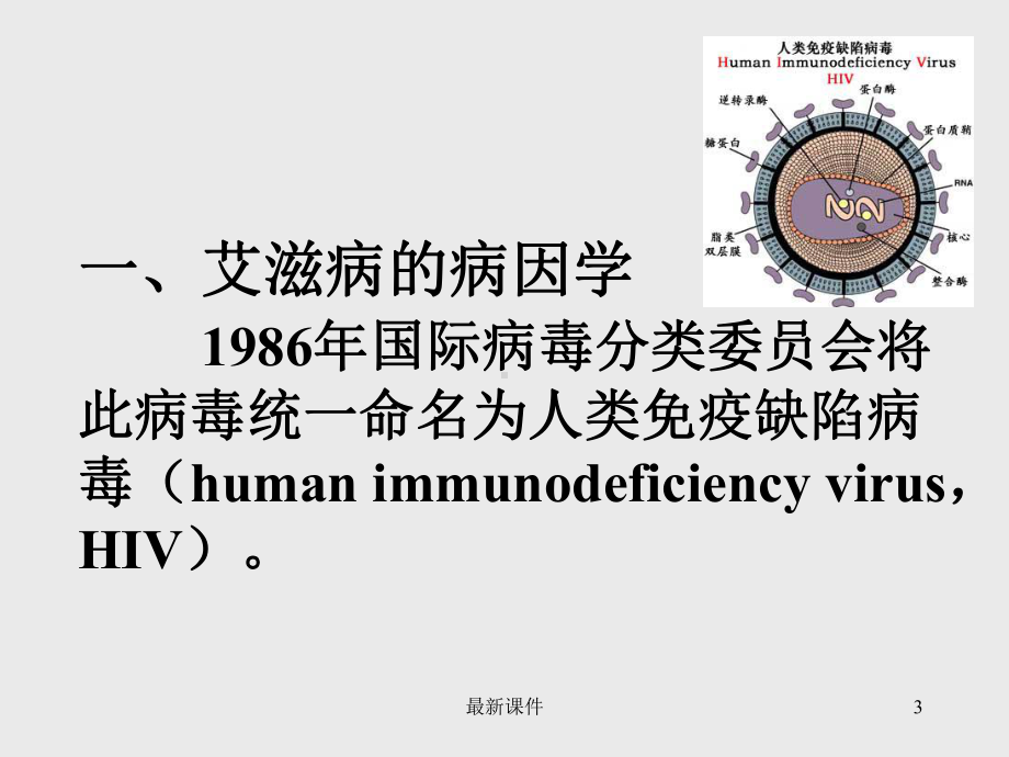 艾滋病的临床病理生理专业课件.ppt_第3页