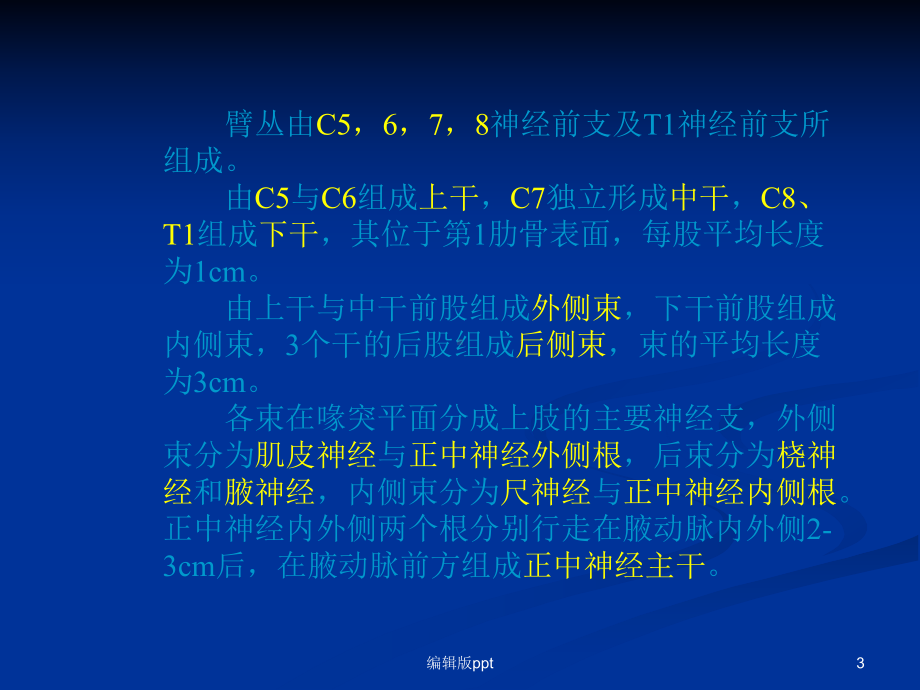 臂丛神经损伤的诊断医学课件.ppt_第3页