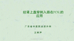 肾上盏穿刺入路在PCN术的应用课件.ppt