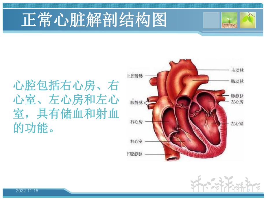 室间隔缺损修补术课件.ppt_第2页