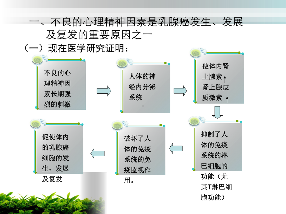 乳腺癌病人心理精神个人健康课件.ppt_第2页