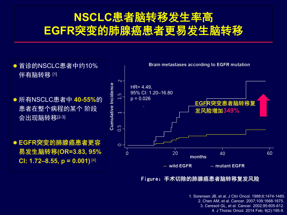 思与辨-NSCLC脑转移治疗选择课件.ppt_第3页