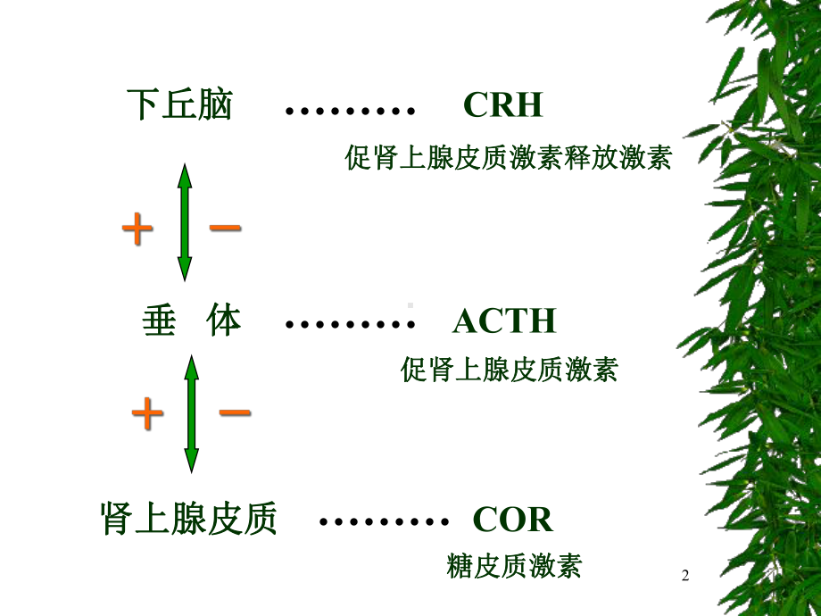 库欣综合征医学课件.ppt_第2页