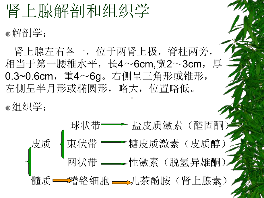 库欣综合征医学课件.ppt_第3页