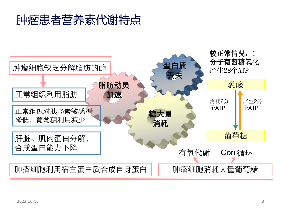 肿瘤患者规范化营养支持治疗参考课件.ppt_第3页