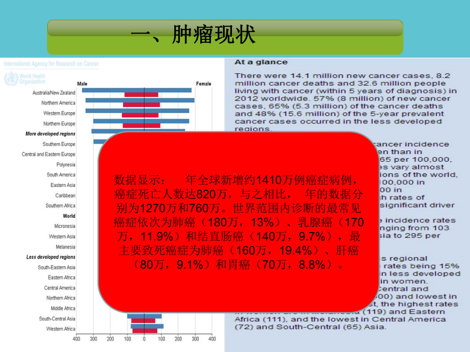 顺铂肾毒性研究进展课件.ppt_第3页