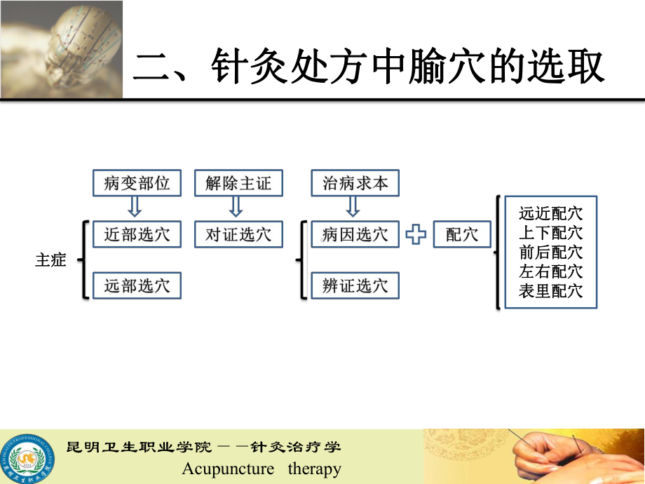 针灸治疗实训内科病证课件.pptx_第3页