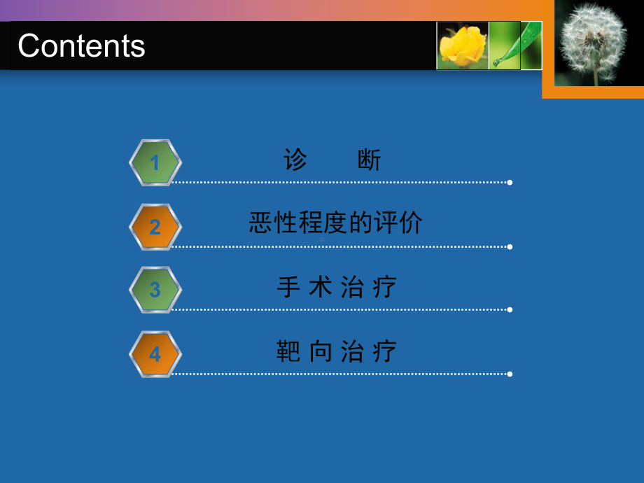 胃肠道间质瘤外科治疗中若干问题课件.ppt_第2页