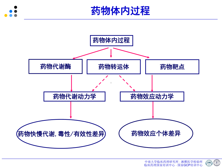 肿瘤常规化疗药物个体化治疗介绍课件.pptx_第2页