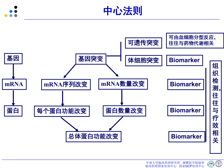 肿瘤常规化疗药物个体化治疗介绍课件.pptx_第3页