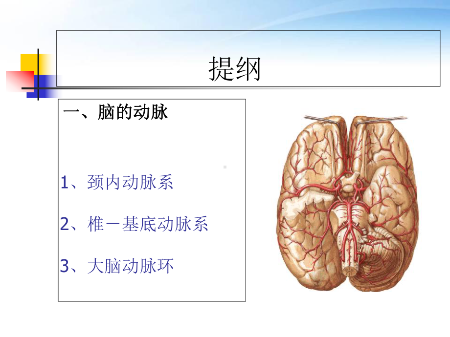 脑CTA后处理-课件.ppt_第2页