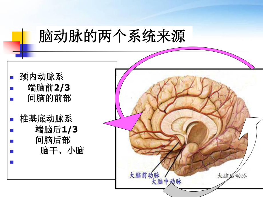 脑CTA后处理-课件.ppt_第3页