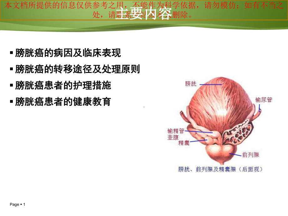 膀胱癌病人的医疗护理和健康教育培训课件.ppt_第1页