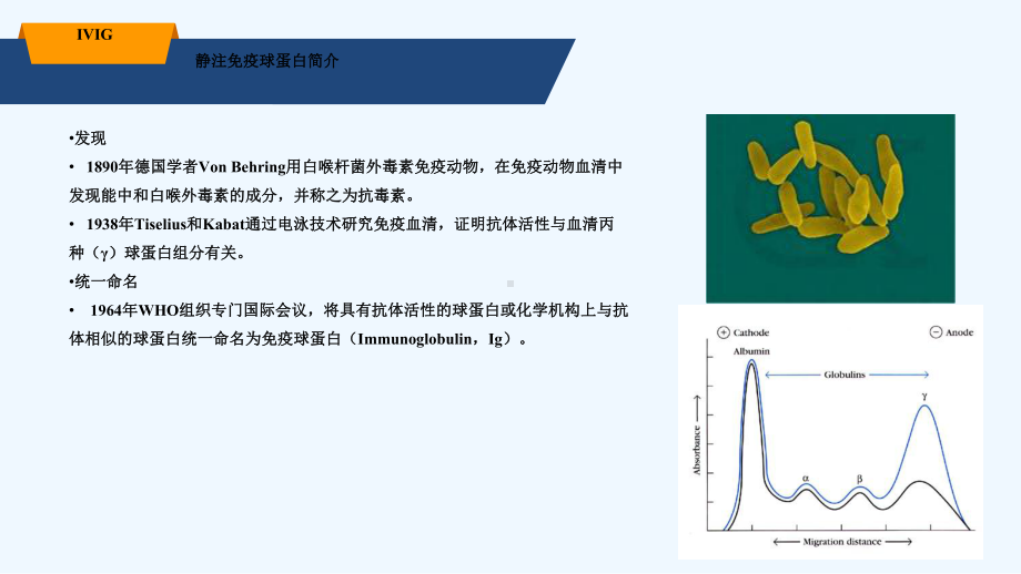 静注人免疫球蛋白在中枢系统疾病中应用课件.ppt_第3页