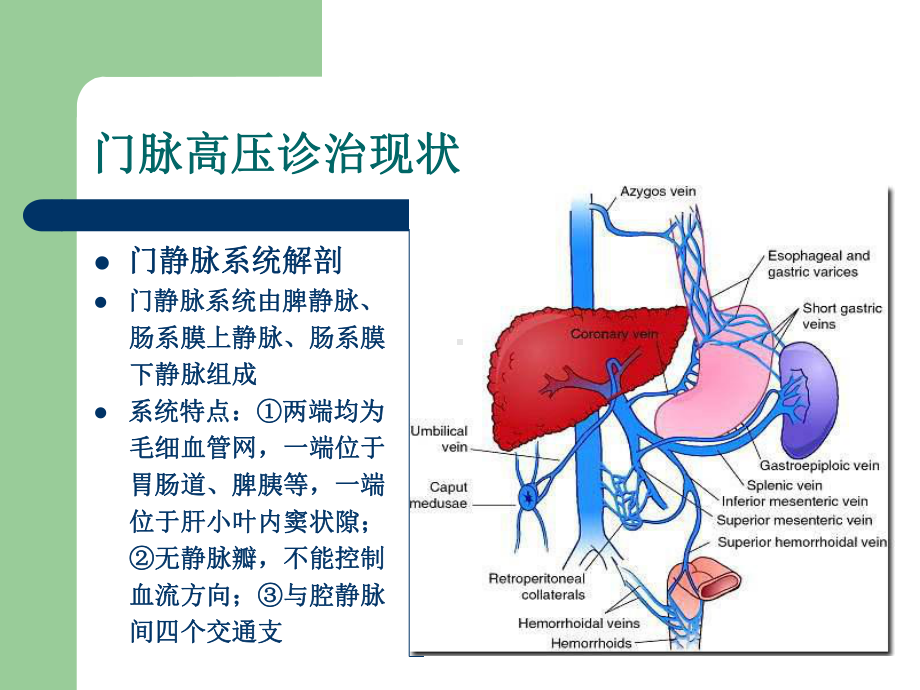 门静脉高压症诊治现状段红伟课件.ppt_第3页