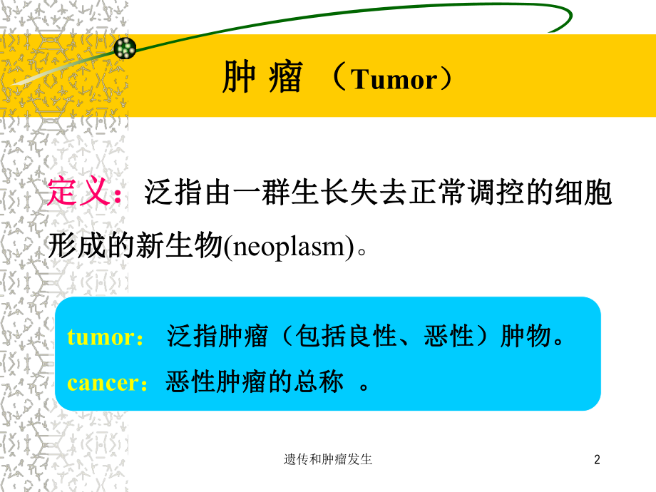 遗传和肿瘤发生培训课件.ppt_第2页