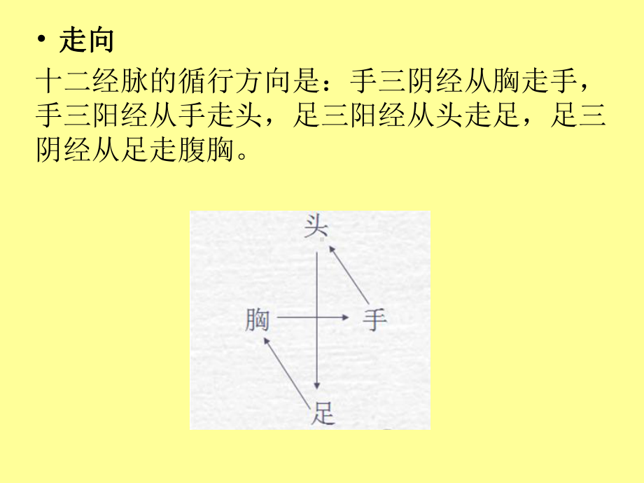 实用人体经络动画图绝佳好文课件.ppt_第2页