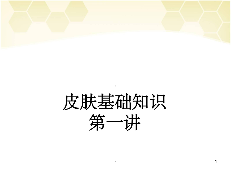 皮肤专业知识-课件.ppt_第1页