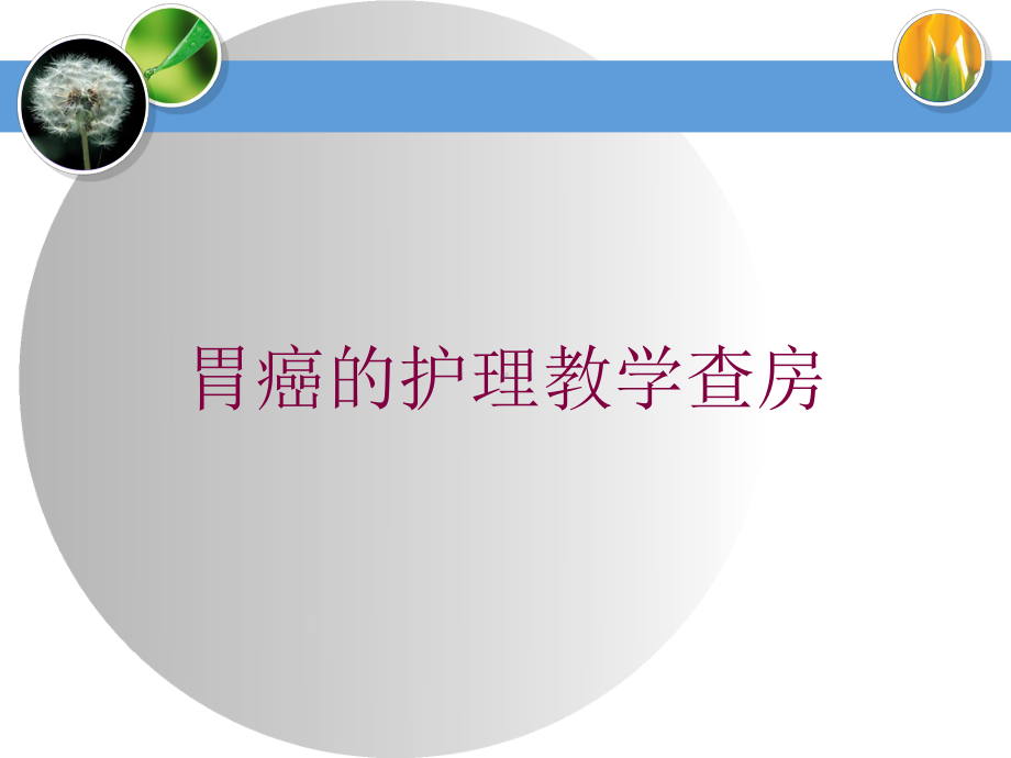 胃癌的护理教学查房培训课件.ppt_第1页