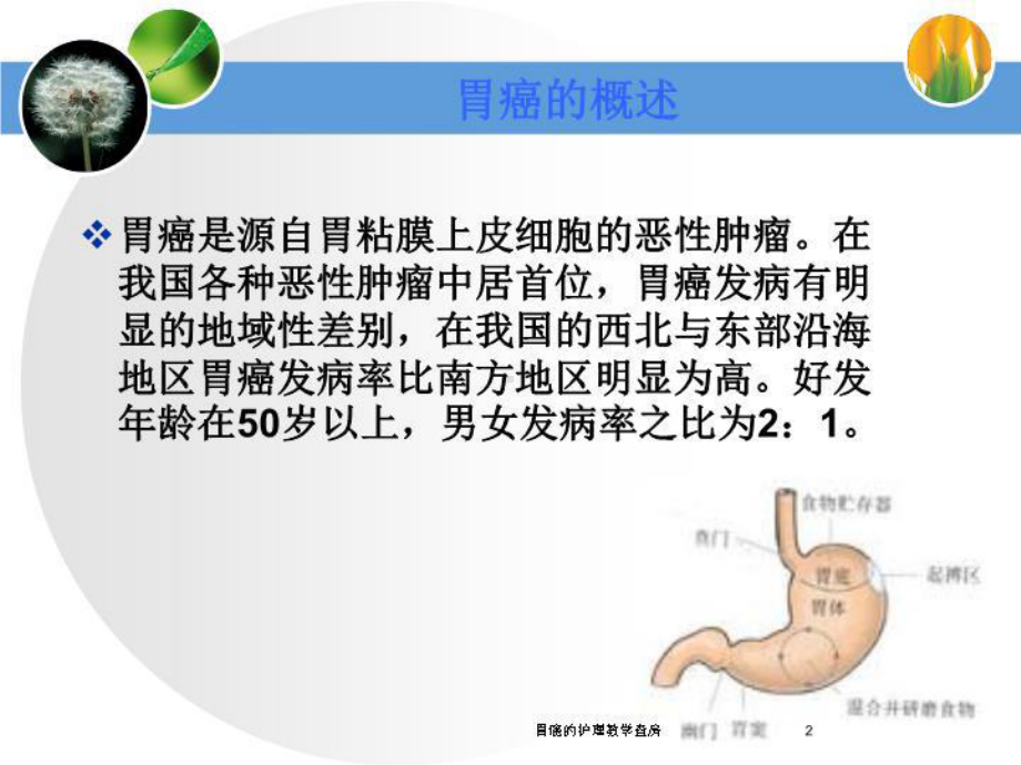 胃癌的护理教学查房培训课件.ppt_第2页