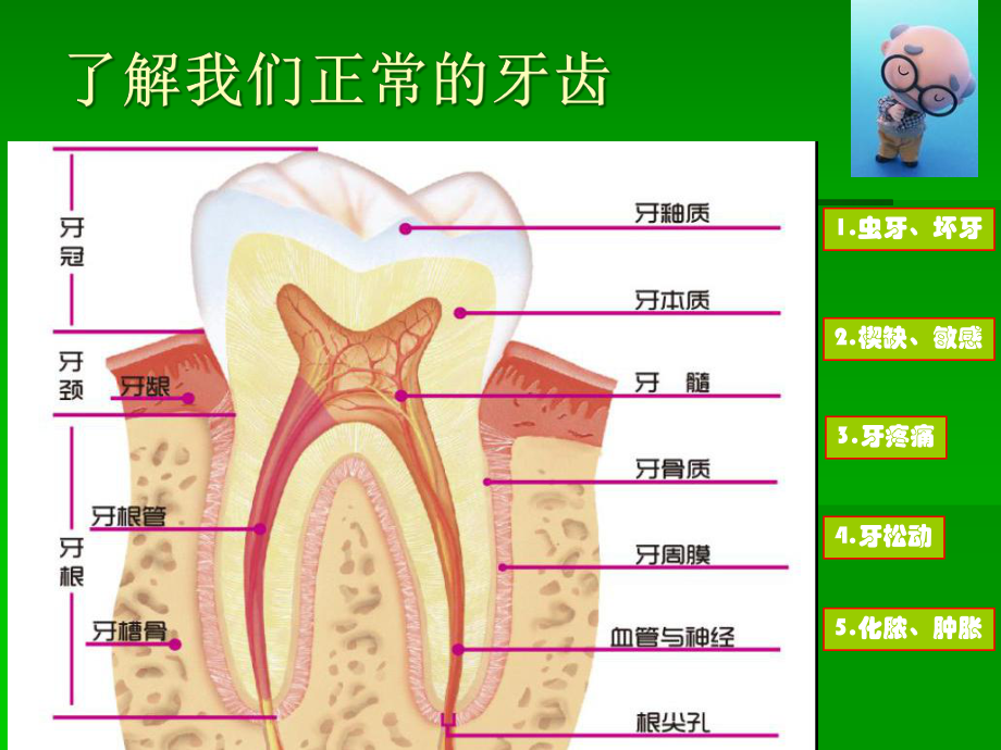 中老年人的口腔卫生保健概要课件.ppt_第3页