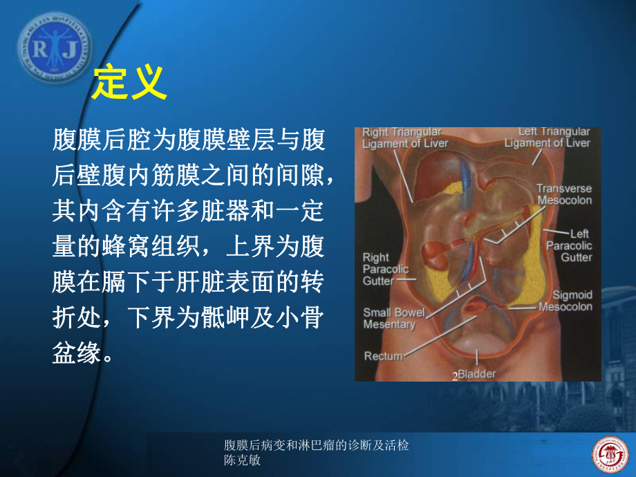 腹膜后病变和淋巴瘤的诊断及活检课件.ppt_第2页