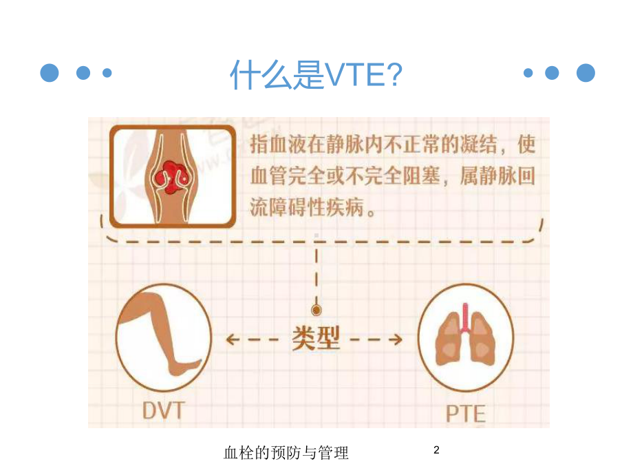 血栓的预防与管理培训课件.ppt_第2页