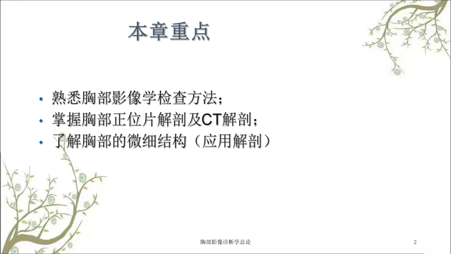 胸部影像诊断学总论课件.ppt_第2页