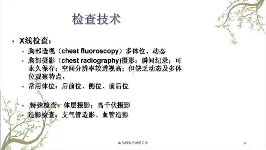 胸部影像诊断学总论课件.ppt_第3页