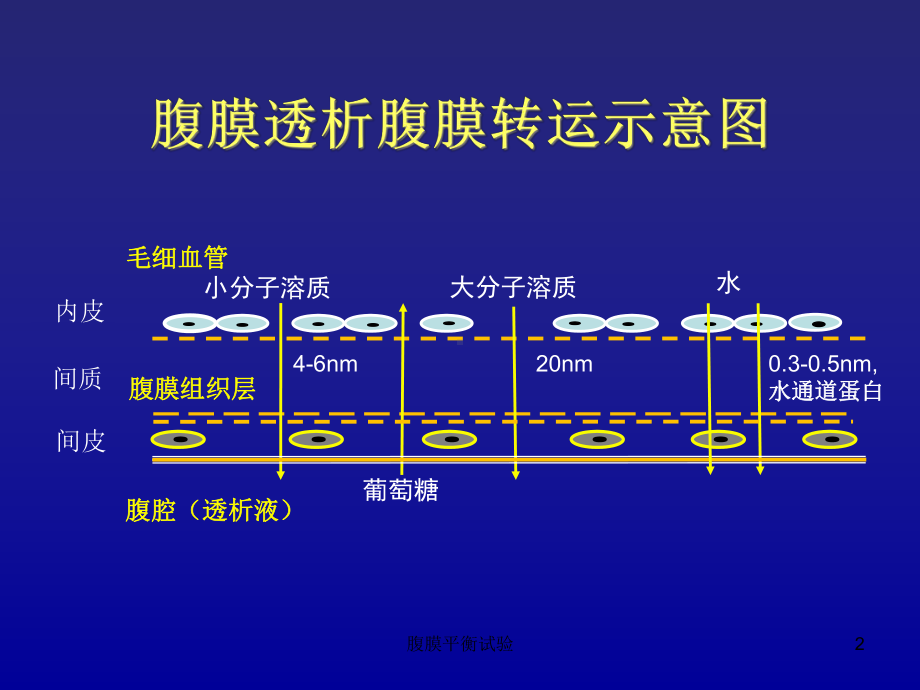 腹膜平衡试验培训课件.ppt_第2页